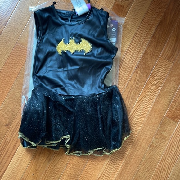 DC BatGirl Costumes Size 3-4t - Picture 2 of 6